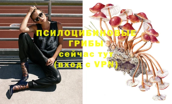a pvp Рославль