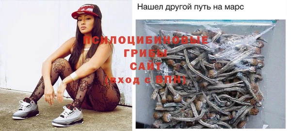 спиды Сатка