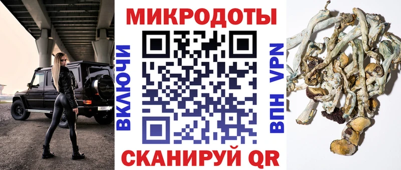 hydra как зайти  Свободный  Псилоцибиновые грибы GOLDEN TEACHER  купить наркоту 