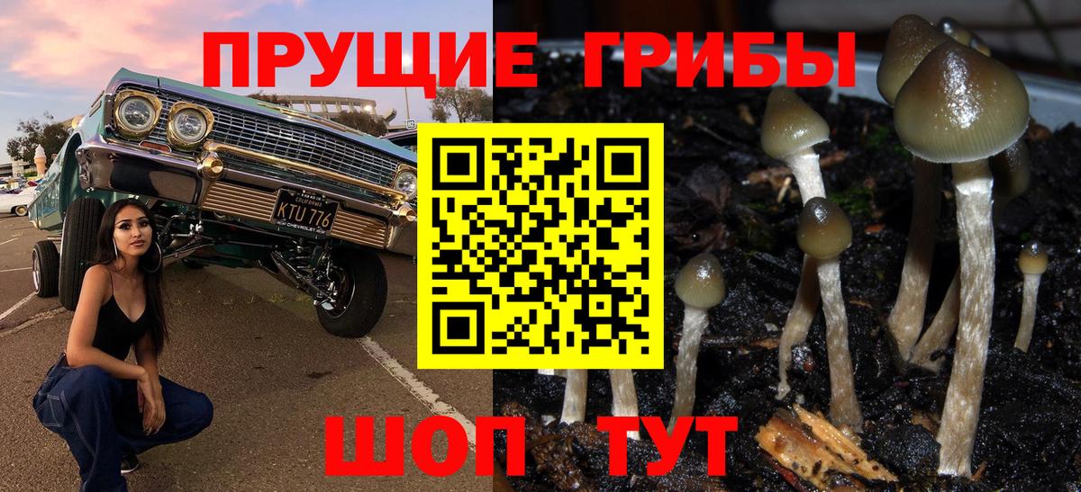Псилоцибиновые грибы прущие грибы Свободный